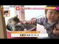 養父市にネコと飼い主の為のモデルルーム