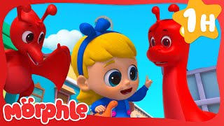 Dinosaur Hide \u0026 Seek | My Magic Pet Morphle | Morphle Dinosaurs | Cartoons for Kids