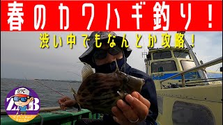 【春の良型カワハギ釣り】とにかくサイズは良かったです！横浜皮研 年間総合優勝者の表彰式も行いました。年間優勝は…あの方です！？ カワハギフィッシングログ ＃006