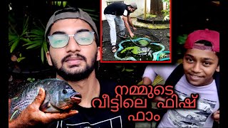 വീട്ടിൽ easy ആയിട്ട് മീൻ വളര്‍ത്താം| New vlog | silopi +plati