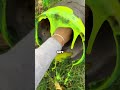 i found slime from minecraft in real life shorts