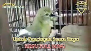 Pancingan Suara Full Sirpu