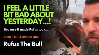 I Feel A Little Bit Bad About Yesterday | Rufus The Bull | Because It Made Rufus Look .....!