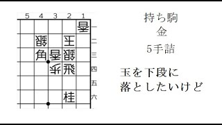 【5手詰】玉を下段に落としたいけど【きのぶの詰将棋】