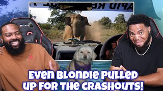 CLUTCH GONE ROGUE REACTS TO The Most Generational Crash Outs in the Animal Kingdom