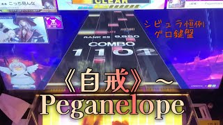 【CHUNITHM】《自戒》〜 Paganelope AJ(1,009,872) 手元動画【擦り、縦連処理】