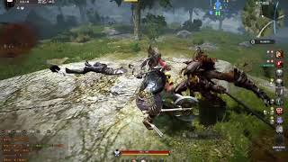 bdo shadow arena TW berserker 12 kills win