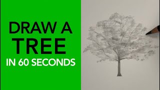Learn to draw a tree! 🌳 | Drawing Tutorial #shorts