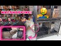 Buying Everything My Dog Touches With Snowball! | BUMILI SYA NG CAGE! | Husky Pack TV