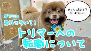 【トリマー】♯106 トリマーへの転職について【犬の美容】