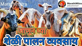 शेळीपालन व्यवसाय सुरू करून लाखोंचा नफा कमवा!| #SheliPalan