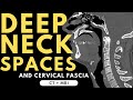 Deep neck spaces and deep cervical fascia anatomy | Radiology anatomy part 1 prep | CT and MRI