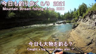 今日も大物を釣る？ (今日も釣り歩く 6/9  2021, Mountain stream fishing 9 Jun. 2021)