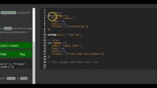 Add New Properties to a Javascript Object, freeCodeCamp Basic Javascript