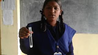 Simple Science Experiment of Testing for Starch(  ஸ்டார்ச்  அயோடின்  ஆய்வு )