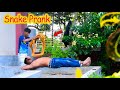 King Cobra Snake Prank 🐍 (Part 15) | Fake Snake Prank Video | 4 Minute Fun