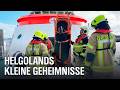 Feuerwehr, Flughafen und verletzte Haustiere - Helgoland hinter den Kulissen | Nordseereport | NDR D