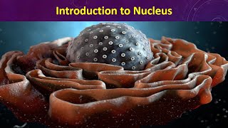 Introduction to Nucleus