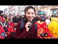 Chinese Lunar New Year Celebrated In Netherlands