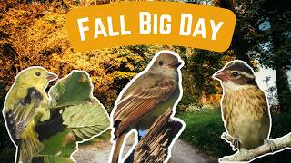 I Found AMAZING Birds On The Best Day Of Fall Migration
