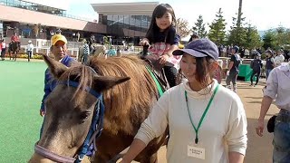 初めての乗馬 おっかなびっくり　札幌競馬場でドサンコ体験