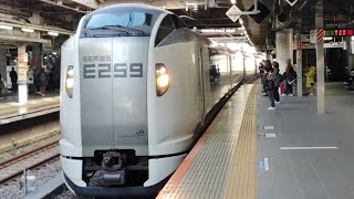 E259系Ne017編成が回送列車として品川駅15番線を通過するシーン(????M)2025/01/31