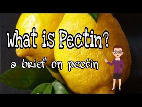 What is pectin composed of?