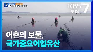 [풀뿌리K] 어촌의 보물, 국가중요어업유산 / KBS  2024.10.28.