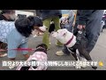 【犬イベント】わんだらけ東海最大級のわんこマルシェ！愛犬家なら行くしかない！