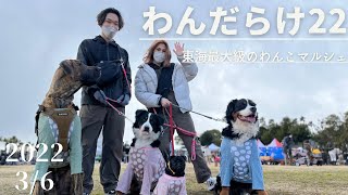 【犬イベント】わんだらけ東海最大級のわんこマルシェ！愛犬家なら行くしかない！