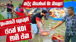 කවුරු බෑ කිව්වත් හදපු, ලංකාවේ ලොකුම ජපන් KOI breeding ෆාම් එක | Pet Talk