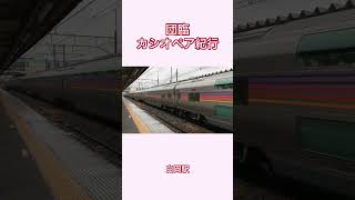 団臨カシオペア紀行仙台行　宇都宮線白岡駅通過