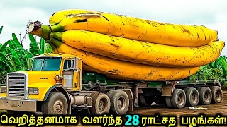 வினோதமான 28 பழங்கள் காய்கறிகள்! | Amazing Fruits \u0026 Vegetables In The World | Tamil Ultimate