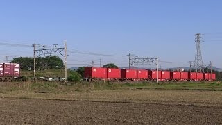 JR貨物 2014/05/07 東海道本線 貨物列車1090レ