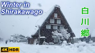 白川郷 (白川村) 雪道を歩く Shirakawago (Shirakawa Village) walk tour on a snowy a snowy road (4K HDR)