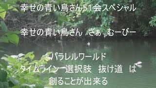 幸せの青い鳥さんざぁむーびー　出会い