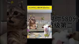 #猫meme #cat #猫meme小剧场 #猫meme剧场