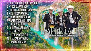 Trio Imperiales De La Sierra 15 Exitos ~ Rancheras y Huapangos Mix 2023 (Disco Completo)