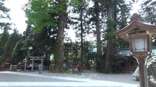 加賀國一宮 白山比咩神社 （しらやまひめじんじゃ） Shirayamahime-Jinjya Shrine