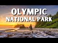 The 20 BEST Things To Do In Olympic National Park | Olympic National Park Travel Guide