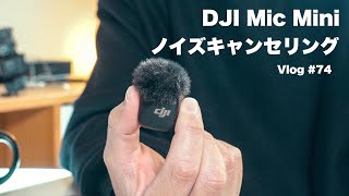 【リベンジ！】DJI Mic Mini のノイズキャンセリング どう？？【Vlog #74 】