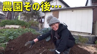 盆明けのスイカ収穫後に安納芋の苗を植えてみた結果…