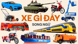 Xe Gì Đây 8, Bé Học Tên Phương Tiện Giao Thông, Song Ngữ Anh Việt, The Kids Discover Vehicles, Train