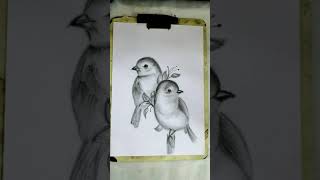Cute Bird Drawing| Pencil Sketch| Begginers |Step by Step| Easy Bird Sketch| RAJ ARTS