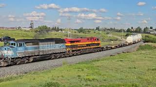 CMQ 9020 Leading a local back to Kipp, AB