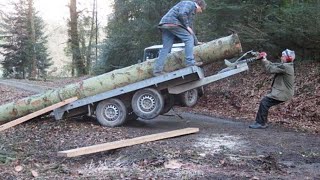 Man steelt hout uit het bos - WEGMISBRUIKERS