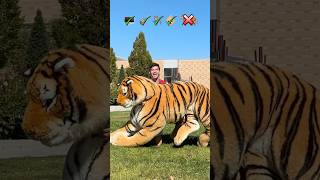 GIANT EMOJI BACKFLIP CHALLENGE 🖥️🎸🪑👶🏼🐅