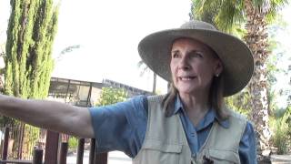 Holy Land Spirit- Janet Parshall in Capernaum