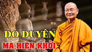 Vạn Vật Trên Thế Gian Là Do Duyên Sanh | HT Viên Minh Giảng | Phật Pháp Vấn Đáp