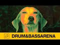 Dub Elements - Parasites (ft. Rider Shafique)